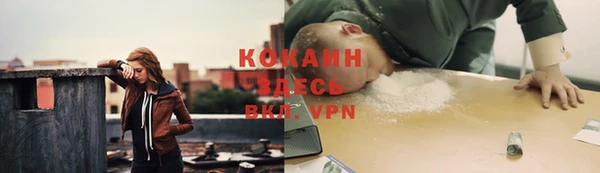 трава Арсеньев