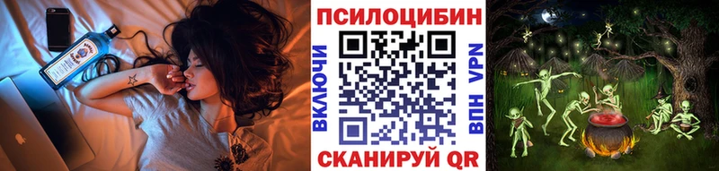 Псилоцибиновые грибы Cubensis  Верещагино 